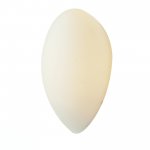 Светильник настенный St luce SL507.551.01 BAGNO