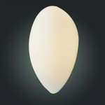 Светильник настенный St luce SL507.551.01 BAGNO