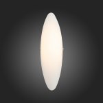 Светильник настенный St luce SL508.511.01 SNELLO