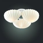 Люстра жемчужина St luce SL534.502.03