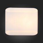 Светильник настенный St luce SL537.501.02 CARINO