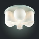 Люстра потолочная St luce SL539.502.09 SCHIUMA