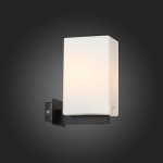 Светильник настенный бра St luce SL541.401.01 CASET