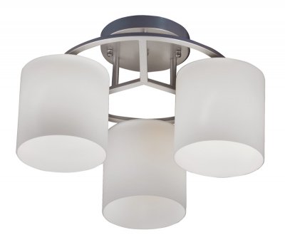 Светильник потолочный St luce SL542.502.03