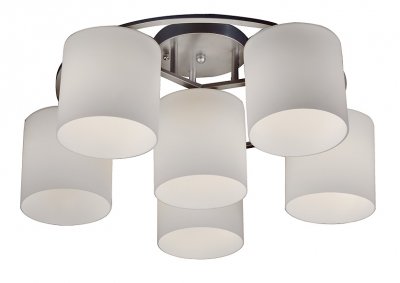 Светильник потолочный St luce SL542.502.06