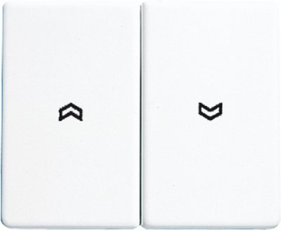 JUNG SL 500 Бронза Клавиша 2-я жалюзийная (SL595PGB) JUNG SL 500 Бронза Клавиша 2-я жалюзийная (SL595PGB)