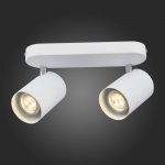 Светильник поворотный спот St luce SL597.501.02 FANALE