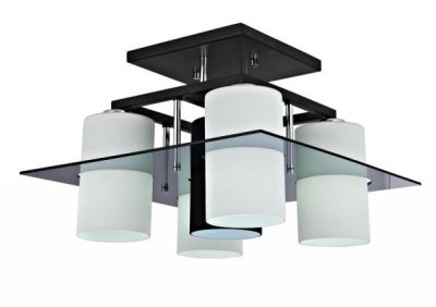 Светильник потолочный St luce SL600.542.05 SL600