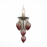Светильник настенный бра St luce SL659.201.01 FRUTTI