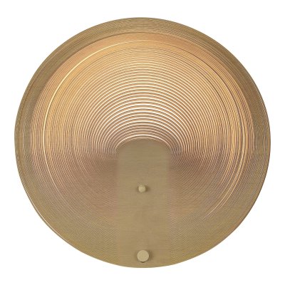 Светильник  светодиодный St luce SL6900.501.16 FOSSIL