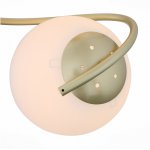 Люстра потолочная St luce SL711.202.04 DELICATA