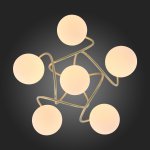 Люстра потолочная St luce SL711.202.06 DELICATA