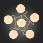 Люстра потолочная St luce SL711.202.06 DELICATA