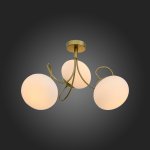 Люстра потолочная St luce SL717.202.03 ACINI
