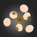 Люстра потолочная St luce SL717.202.06 ACINI