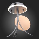Люстра потолочная St luce SL717.552.06 ACINI