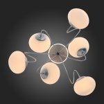 Люстра потолочная St luce SL717.552.06 ACINI