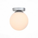 Светильник настенно-потолочный St luce SL717.501.01 ACINI