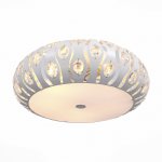 Светильник потолочный St luce SL793.502.05 CALMA