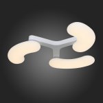 Люстра потолочная St luce SL808.502.03 FAVE