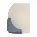 Светильник настенно-потолочный St luce SL809.501.01 ORBE