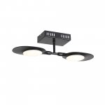 Светильник настенно-потолочный St luce SL824.401.02 FARFALO