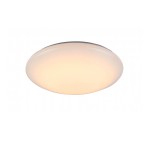 Светильник настенно-потолочный St luce SL875.022.01 SL875