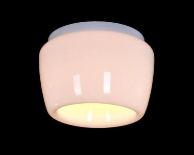 Светильник потолочный St luce SL876.502.01 SL876
