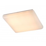 Светильник настенно-потолочный St luce SL876.032.01 SL876