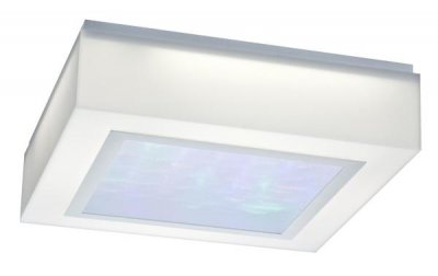 Светильник потолочный St luce SL885.502.04