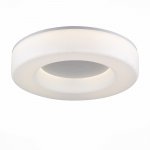 Светильник потолочный St luce SL886.502.01 LORDIN
