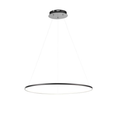 Светильник подвесной St luce SL904.413.01 ERTO Светильник подвесной St luce SL904.413.01 ERTO