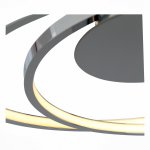 Люстра диодная St Luce SL918.102.02