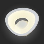 Светильник настенный бра St luce SL929.501.01 RISTA