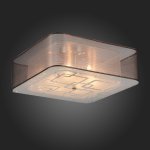 Люстра потолочная St luce SL940.802.06 AJUR