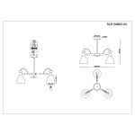 Люстра потолочная St luce SLE103802-03 BALCAMO