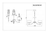 Люстра подвесная St luce SLE105303-05 LINDA