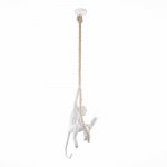 Светильник подвесной St luce SLE115103-01 TENATO