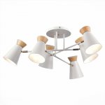 Люстра потолочная St luce SLE1252-502-06 ALFEO