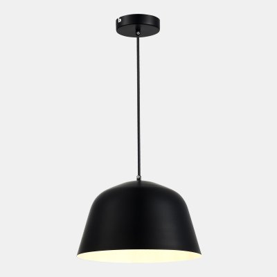 Светильник с лампой накаливания St luce SLE1805-403-01 BLANK Светильник с лампой накаливания St luce SLE1805-403-01 BLANK