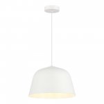 Светильник с лампой накаливания St luce SLE1805-503-01 BLANK