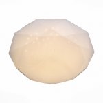 Светильник настенно-потолочный St luce SLE200.512.01 ALTO