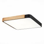 Светильник потолочный St luce SLE201242-01 FESTA