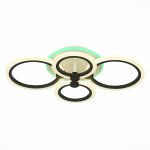 Светильник потолочный St luce SLE500542-04RGB CERINA