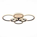 Светильник потолочный St luce SLE500542-06 CERINA