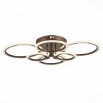 Светильник потолочный St luce SLE500572-06 CERINA