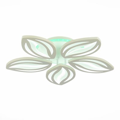 Светильник потолочный St luce SLE501352-05RGB SETEKO