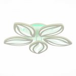Светильник потолочный St luce SLE501352-05RGB SETEKO
