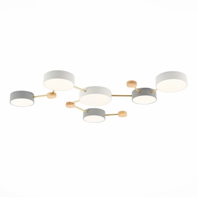 Светильник потолочный St luce SLE600102-06 DOSSENA