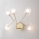 Светильник настенный бра Crystallux SOLE AP5 GOLD SOLE